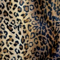 Stoff Fell Fellimitat Leo Leopard weich Innendekoration Kostüm Taschen Karneval 0,5 Stoff Fell Fellimitat Leo Leopard weich Innendekoration Kostüm Taschen Karneval 0,5