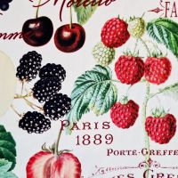 Stoff Baumwollstoff "Harvest" Obst Früchte Vintage Digital 0,5 Stoff Baumwollstoff "Harvest" Obst Früchte Vintage Digital 0,5