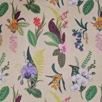Stoff Outdoorstoff Dralon bunt vanille "Orchideen" wasserabweisend lichtecht 0,5 Stoff Outdoorstoff Dralon bunt vanille "Orchideen" wasserabweisend lichtecht 0,5