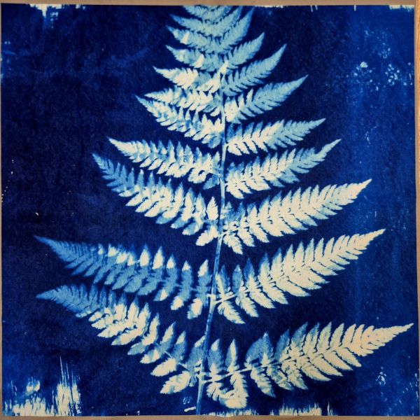 Kissenpanel Velours "Winterblatt" Samt Deluxe 45cm x 45xm
